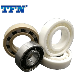  Ceramic Bearing High Temperature and Corrosion Resistant 6204ce
