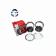 Hub Bearing Repair Kit Vaz2007108 Hub Bearing Unit Repair Kit 32008 Kit for Russian Vehicles