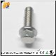  Ss 304/316 Flange Hexagonal Fastener Bolts