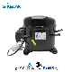 R290 Refrigerant L/Mbp AC Refrigeration Part Piston Compressor for Dehumidifier/Cooler/Freezer