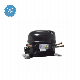  Hot Sale Gmcc/Highly R22 R410A Air Conditioner Rotary Compressor