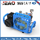 Bx100 Three Phase Electric Scuba Diving Breathing 300bar Air Compressor