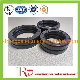  Oil Seal Skeleton Rubber Oil Seal with NBR FKM Thread Oil Seal Widely Use 50-70-10 100-125-15