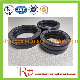 Oil Seal Skeleton Rubber Oil Seal with NBR FKM Thread Oil Seal Widely Use 50-70-10 100-125-15