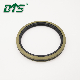  High Pressure PTFE Bronze+NBR/FKM Piston Seals Daq2 for Hydraulic Cylinders
