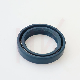  Tcv High Pressure 46*65*21 Hydraulic Pump FKM Oil Seal