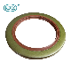 Tb Oil Seal Wheel Hub Skeleton Metal Oil Seal Factory