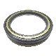  Oil Seal Cr 47691 Oil Seal Replaces 370003A 309-0973