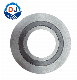 D-Type Inner and Outer Ring Metal Winding Seal Gasket Spiral Wound Gasket