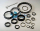 Silicon Carbide (SIC) Seal Ring for Mechanical Seal