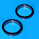  Ssic, Rbsic Silicon Carbide Sic Seal Ring