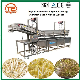 High Pressure Washing Machine Bean Sprout Cleaning Machinery Bubble Ozone Washer manufacturer