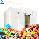 Manufacturer Walk Cold Fish Storage Freezer Cold Room