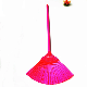 Soft Push Multi Colour Household Plastic Broom Head + Steel Handle for Floor Cleaning