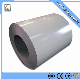 Building Material Color Coated PPGI Galvanized Steel Coil for Roofing Sheet Factory Price