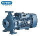 Purity Electric Close Coupled Monoblock Surface Centrifugal Water Pump