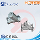 Stainless Steel SS304/SS316 Thread Type NPT, BSPT, Bsp Y-Strainer/Filter