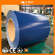 Dx51d/SGCC/ASTM-A653 Ral Color PPGI Coated Steel Prepainted Galvanized Steel Coil Price