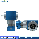 T-Type Right Angle 90 Degree Helical Bevel Gear Steering Precision Planetary Reducer RAM120-2s Fubao
