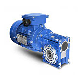 7.5~100 Ratio Solid Shaft Output Small 1: 50 Ratio Reduction Unit Speed Reducer Gear Combination Transmission Gearbox Worm Gear Box