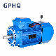 Gphq 0.18kw to 22kw Yej /Y2ej /Ms3ej Cast Iron and Aluminum Body Brake Motor