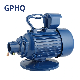 Gphq Zn Series Single Phase Electric Motor 3HP Concrete Vibrator