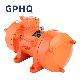 Gphq Zw-7 Series 1.5kw 2HP Single Phase Concrete Vibrator Electric Motors