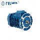  Ye2 Series Qualified AC Gear Motor with Competitive Price