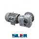 Helical -Bevel Geared Reducer with IEC B5 Motor IP55 Solid Output Shaft and Shrink Disk Large Torque Built in Brake