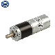 36mm 12V 24 Volt Heavy Duty Low Speed BLDC Brushless DC Planetary Gear Motor