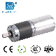 36mm Planetary Gear Brushless DC Motor with Classical Gearbox
