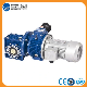  Aluminum Housing Worm Gear Reducer with Speed Variator
