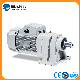  Aluminum Inline Helical Gearmotor with Flange-Mounted and Foot -Mounted