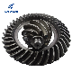 Precision Transmission System Parts Gearbox OEM Worm Gear Spur Gear Helical Gear