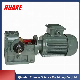 High Quality Electric S Series Helical Worm Gearbox Speed Reducer for Right Angle Transmission Geared Reduction Motors