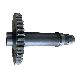  272200123 Price of Transmission Steering Pump Gear