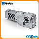 Helical Bevel Gear Speed Reducer Factory with Solid Shaft