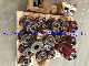  Spare Parts for Gearbox Brevini SL3002/Bonfiglioli 309L/Bonfiglioli 310L/Bonfiglioli 311L/Bonfiglioli 717