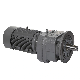 Fr17-167 in-Line Speed Reducer Gear Box with Motor manufacturer