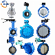  Pn16 Ductile Iron Rubber Seated Flanged/Wafer/Lug Concentric/Eccentric Butterfly Valve