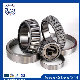  Gear Box of Machine Tool Japan NTN Tapered Roller Bearing 30202 with Size 15*35*11mm