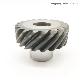  High-Quality OEM Cast Steel Spur Gear Wormwheel
