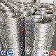 304 316 201 316L Seamless Ss Pipe Coil Coiled Tube Heat Exchanger manufacturer