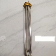 Stainless Steel Water Heater Spare Parts Electric Heating Element