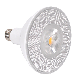 Good Heat Dissipation Garden Lighting LED PAR38 Light Bulb