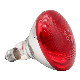  Waterproof Infrared Heat Lamp Red Pitted Breeding Bulb 100W/150W/200W/250W