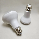 Factory Price Rust Prevention Mushroom Shape Bathroom Heat Lamp R50/R63/R80/R90 LED Light Bulb for Everyday Use