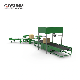  Chain Conveyor Belt Conveyor for Packing Line System Sewage Treatment Equipment Shaftlesss Mall Screw Conveyor