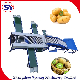  High Accuracy Electric Fruit Selecting Sorting Machine with Water Spraying Cleaning