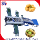 High Accuracy Electric Fruit Selecting Sorting Machine with Water Spraying Cleaning